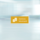 GestioneMovimentiIcona